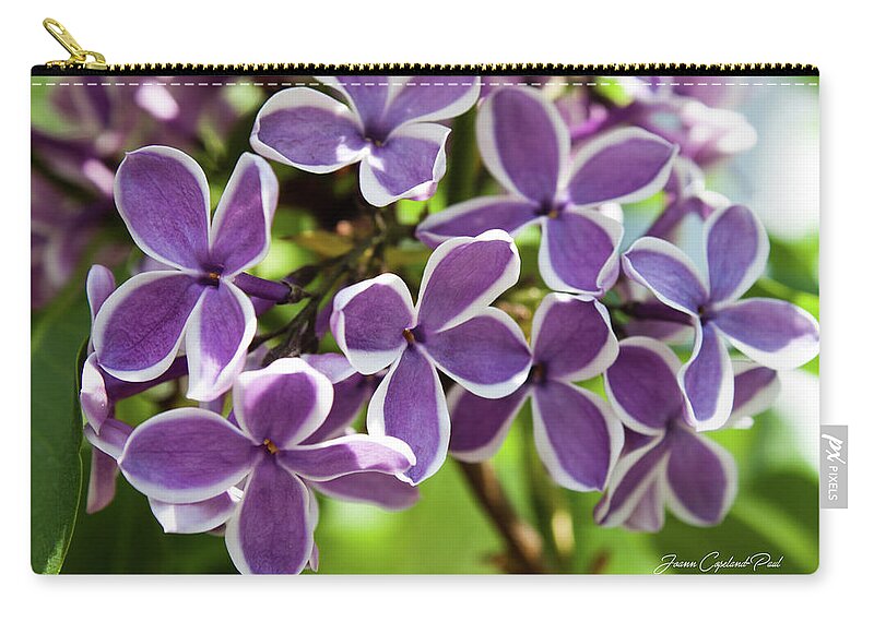 Purple Zip Pouch featuring the photograph Lovely Lilacs by Joann Copeland-Paul