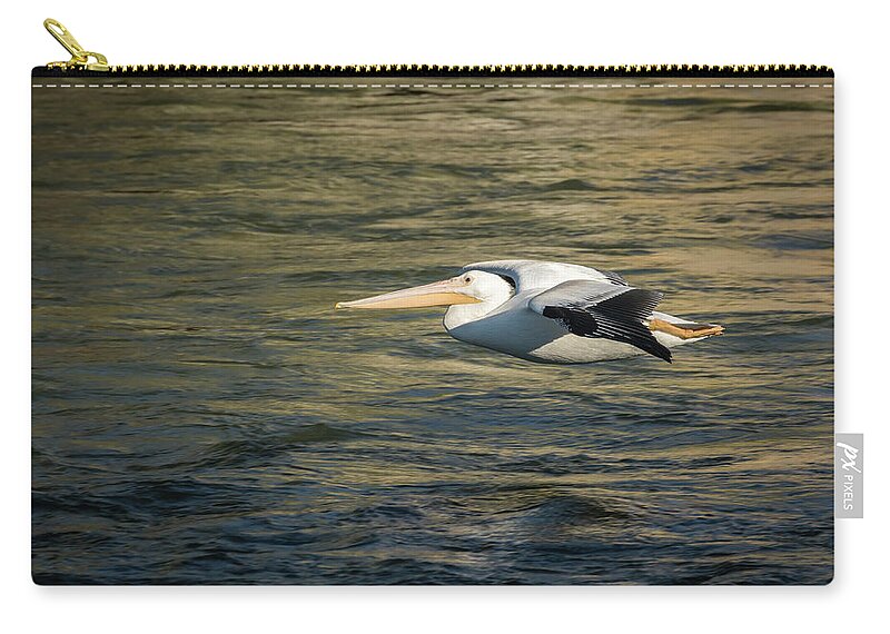American White Pelican Zip Pouch featuring the photograph Low Flier 2016-1 by Thomas Young