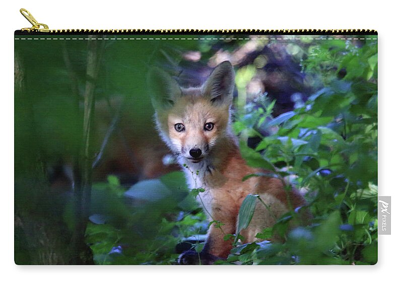 Red Fox Zip Pouch featuring the photograph Lucky Foxy by PJQandFriends Photography