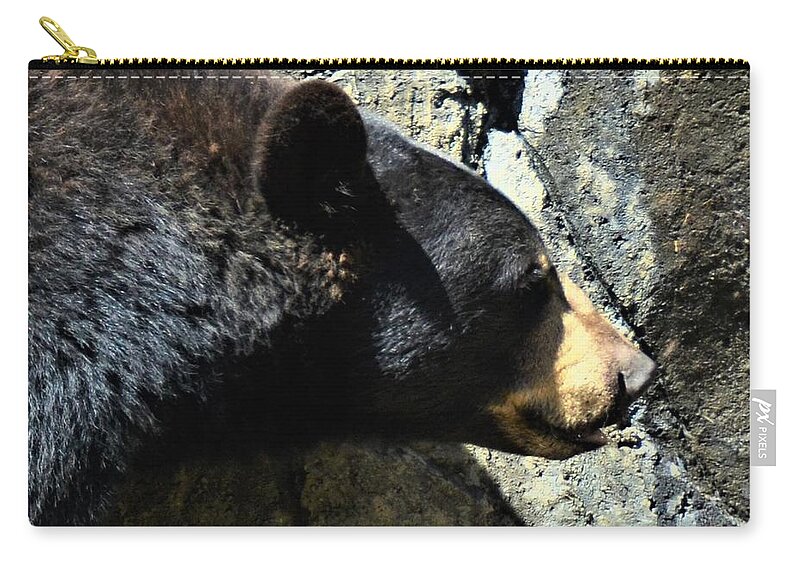 Bear Zip Pouch featuring the photograph Lumbering Bear by Chuck Brown