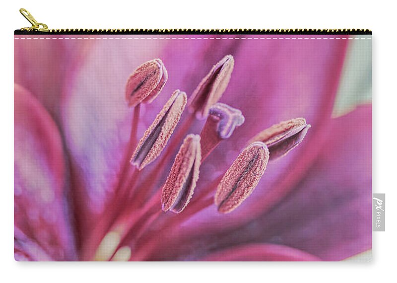 Lily Zip Pouch featuring the photograph Luminous Day Lily Flower by Jennie Marie Schell