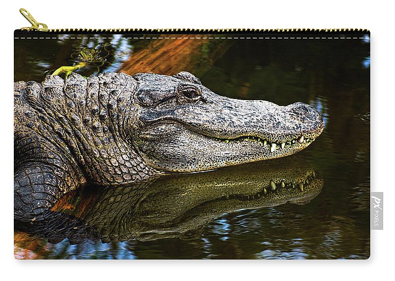 Alligator Zip Pouch featuring the photograph Lump On A Log by Christopher Holmes