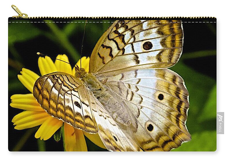 Butterfly Zip Pouch featuring the photograph Lunchtime at Wonderland by Barbara Zahno