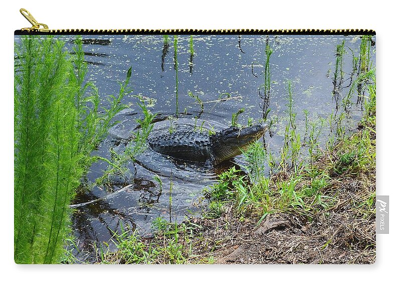 Lunging Bull Gator Zip Pouch featuring the photograph Lunging Bull Gator by Warren Thompson