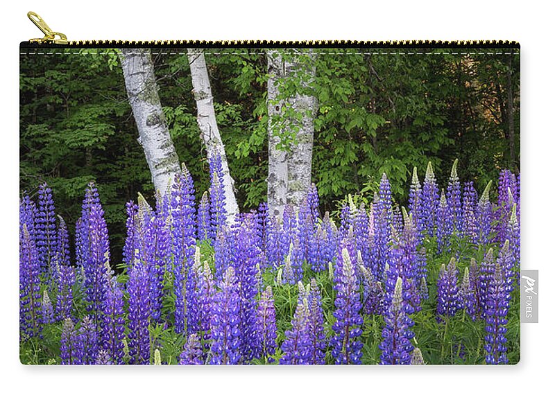 Sugar Hill Zip Pouch featuring the photograph Lupine and Birch Tree by Bill Wakeley