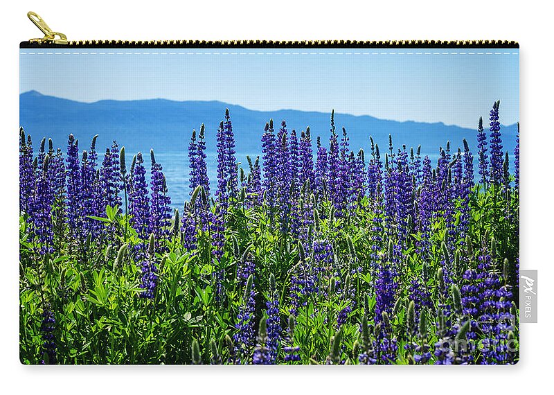 Lupine Zip Pouch featuring the photograph Lupine Flowers at Tahoe by Dianne Phelps