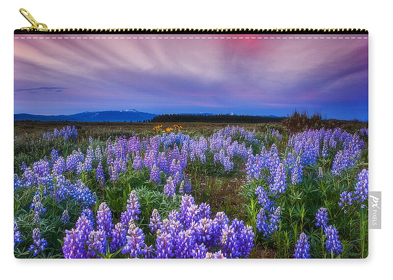 Wildflowers Zip Pouch featuring the photograph Lupine Morning by Darren White