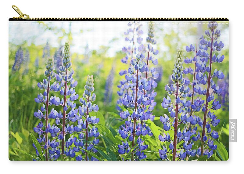 Lupines Carry-all Pouch featuring the photograph Lupines by Holly Ross