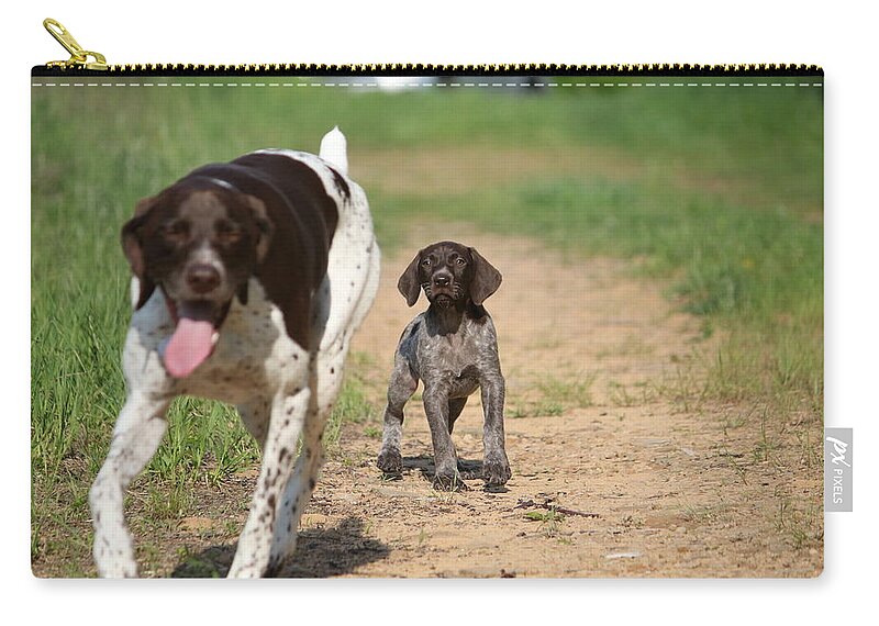 German Shorthair Zip Pouch featuring the photograph Macie Pup and Millie by Brook Burling