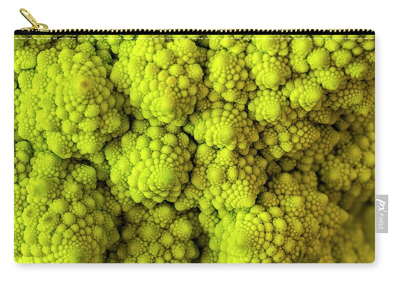 Italian Zip Pouch featuring the photograph Macro of Head of Broccoli Romanesco by Teri Virbickis