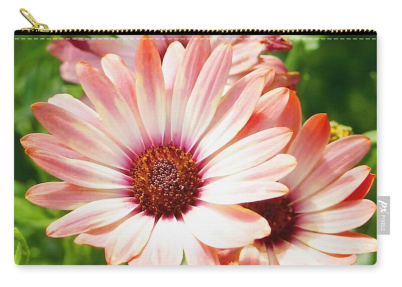 Nature Zip Pouch featuring the photograph Macro Pink Cinnamon Tradewind Flower in the Garden by Amy McDaniel