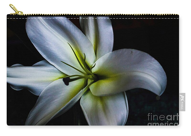 Lily Zip Pouch featuring the photograph Madonna by Diana Mary Sharpton