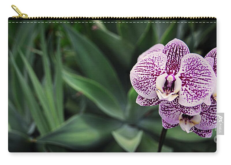 Garden Zip Pouch featuring the photograph Magenta by Russell Brown