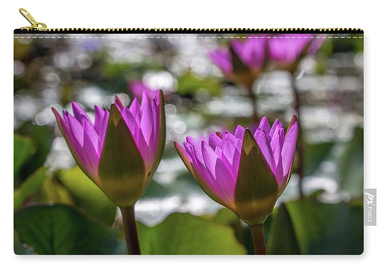 Magenta Zip Pouch featuring the photograph Magenta Water Lilies by Susie Weaver
