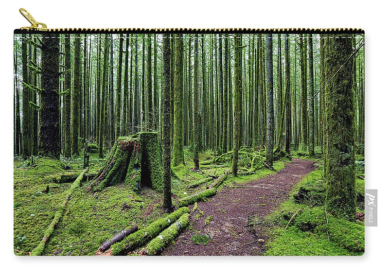 Alex Lyubar Zip Pouch featuring the photograph Magic forest by Alex Lyubar