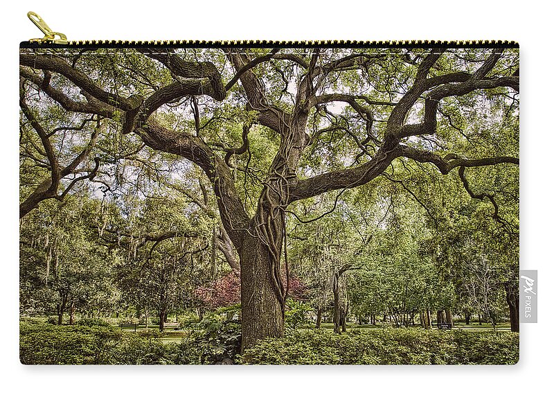 Forsythe Park Zip Pouch featuring the photograph Magic Oak by Diana Powell
