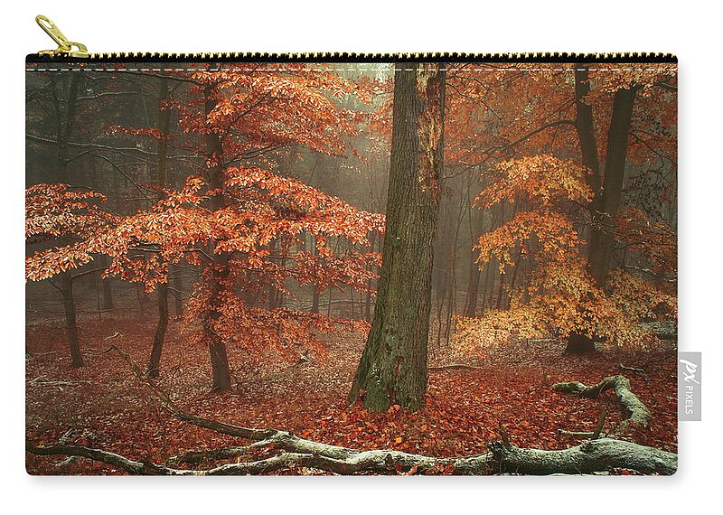 Jenny Rainbow Fine Art Photography Zip Pouch featuring the photograph Magic of Fall Woods by Jenny Rainbow