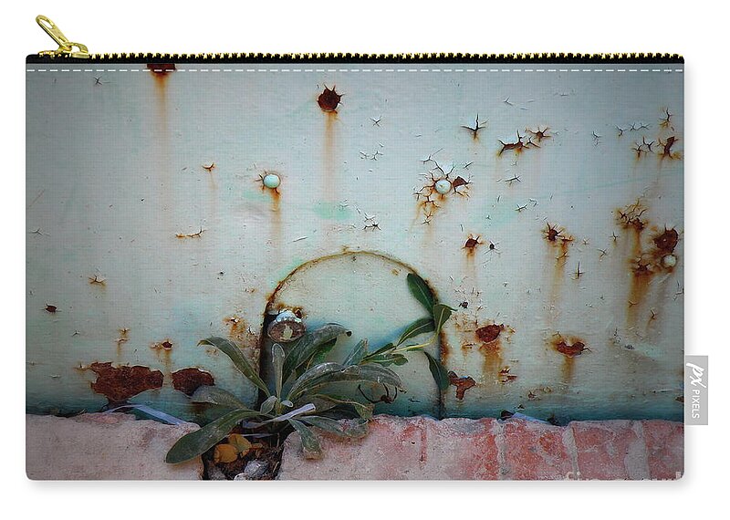 Door Zip Pouch featuring the photograph Magical Teeny Tiny Door by Lainie Wrightson