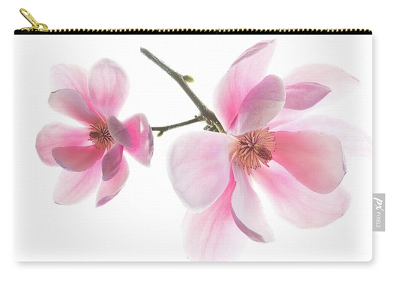 Magnolia Zip Pouch featuring the photograph Magnolia is the harbinger of spring. by Usha Peddamatham