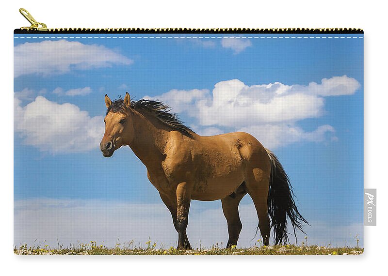 Mark Miller Photos Zip Pouch featuring the photograph Magnificent Wild Horse by Mark Miller