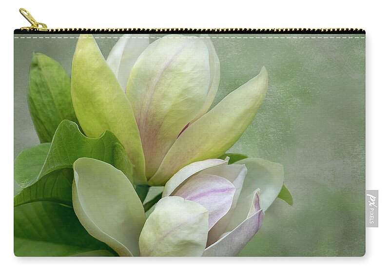 Magnolia Zip Pouch featuring the photograph Magnolia Beauty by Eleanor Bortnick