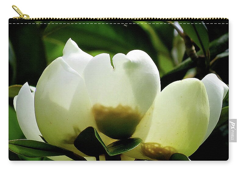 Magnolia Zip Pouch featuring the photograph Magnolia Blossoms by Linda Stern