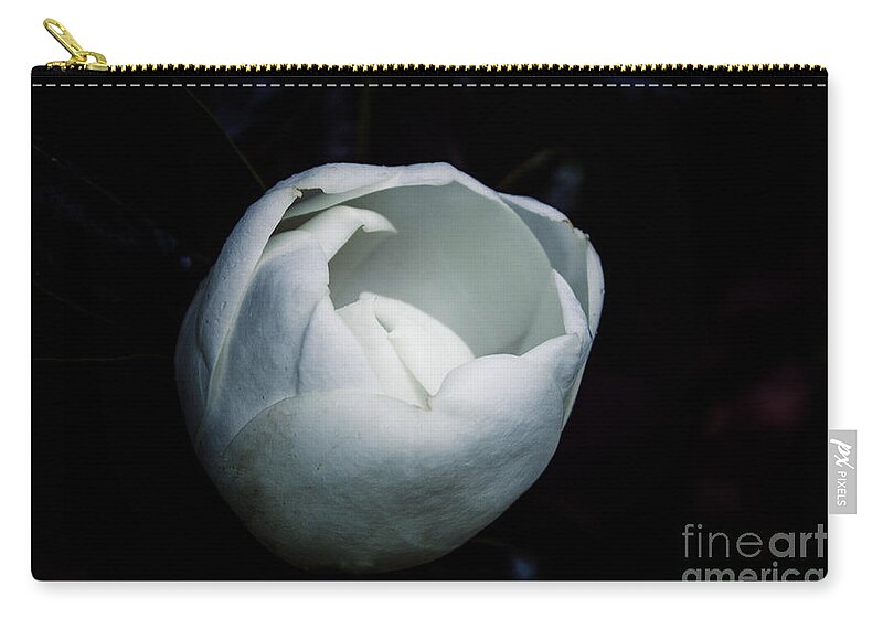 Flower Zip Pouch featuring the photograph Magnolia in the Spotlight by Roberta Byram