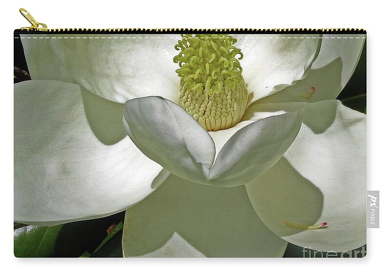 Magnolia Zip Pouch featuring the photograph Magnolia Series 1 by Eunice Warfel