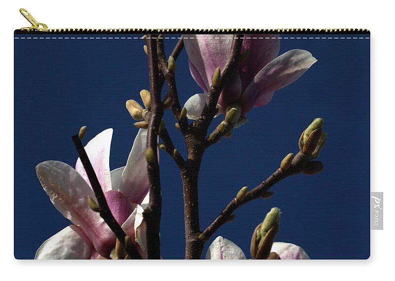 Flora Zip Pouch featuring the photograph Magnolia Tree by Stephen Melia