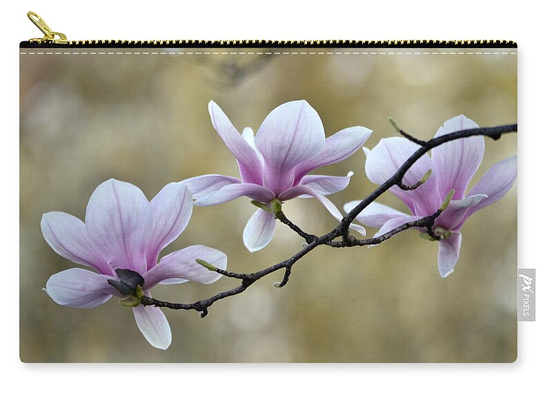 Magnolia Carry-all Pouch featuring the photograph Magnolia Trio by Ann Bridges