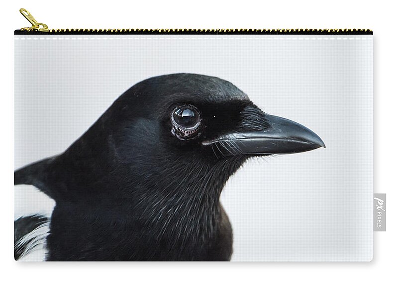 Pica Pica Zip Pouch featuring the photograph Magpie portrait by Torbjorn Swenelius