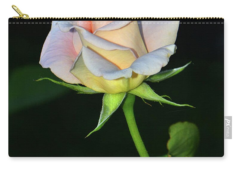 Rose Zip Pouch featuring the photograph Maid Of Honour Rose 001 by George Bostian