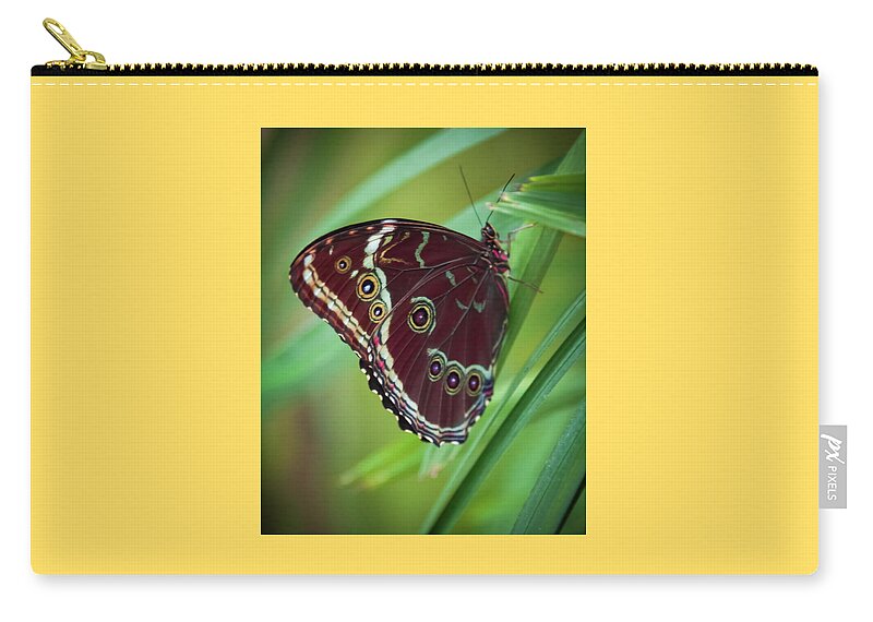Gorgeous Butterflies Zip Pouch featuring the photograph MAJESTY of NATURE by Karen Wiles