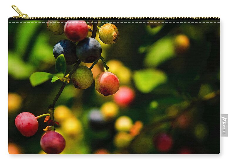 Making Blueberries Prints Zip Pouch featuring the photograph Making Blueberries by John Harding