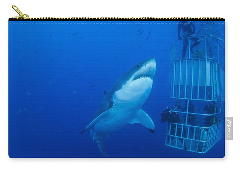 Carcharodon Carcharias Zip Pouch featuring the photograph Male Great White With Cage, Guadalupe by Todd Winner