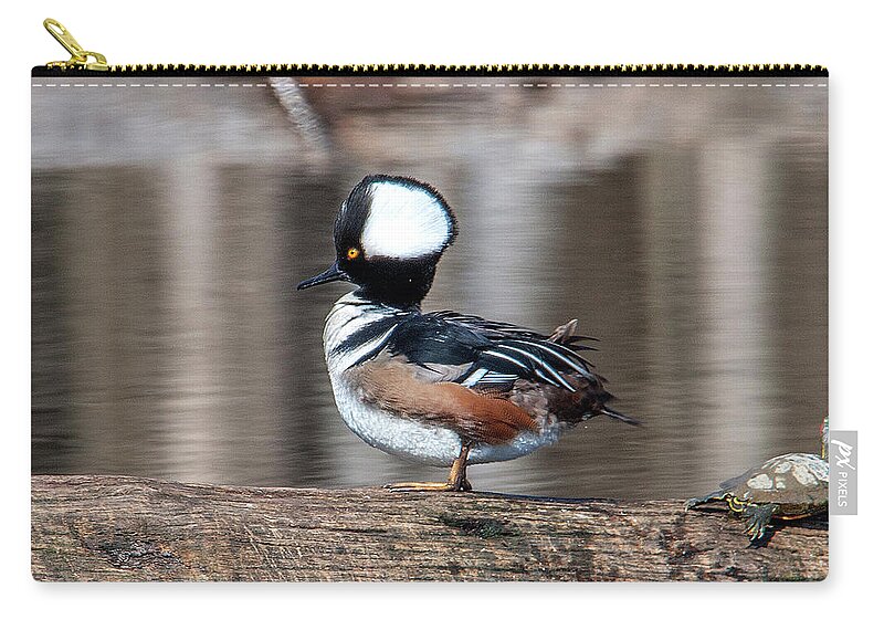 Nature Zip Pouch featuring the photograph Male Hooded Merganser DWF0166 by Gerry Gantt