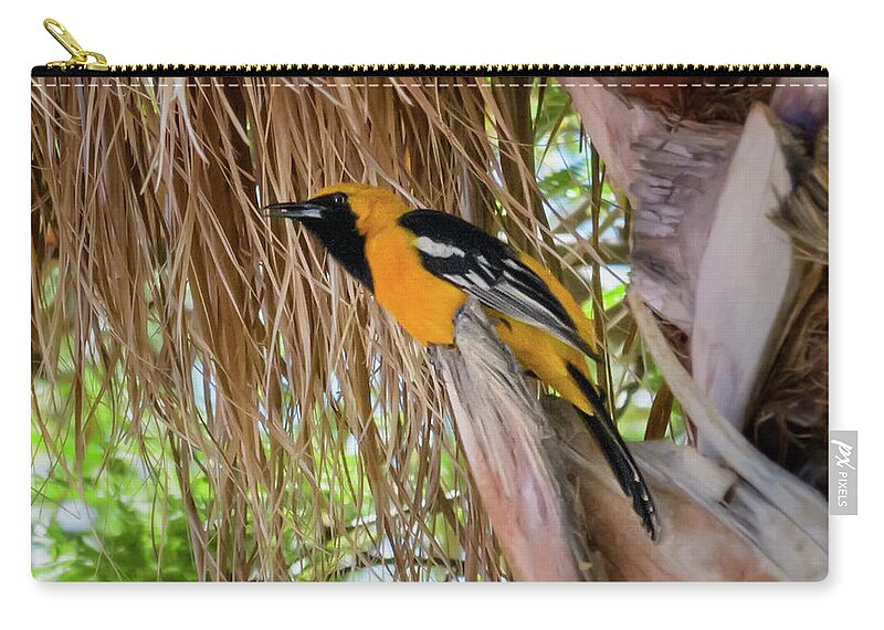 Feathered Friend Zip Pouch featuring the photograph Male Hooded Oriole H17 by Mark Myhaver