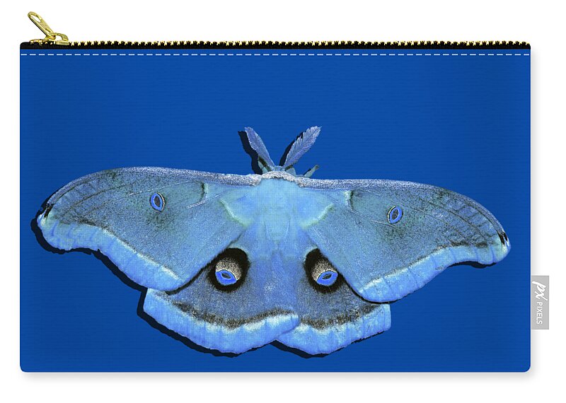 Polyphemus Moth Zip Pouch featuring the photograph Male Moth Light Blue .png by Al Powell Photography USA