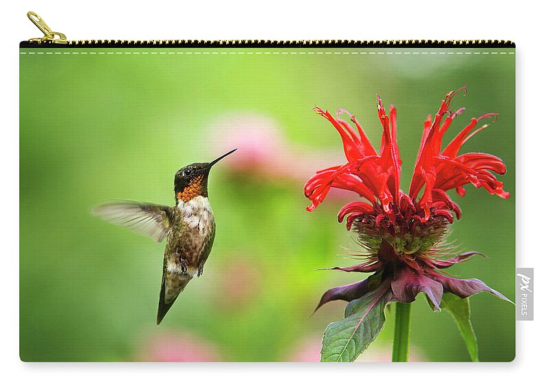 Hummingbird Carry-all Pouch featuring the photograph Male Ruby-Throated Hummingbird Hovering Near Flowers by Christina Rollo
