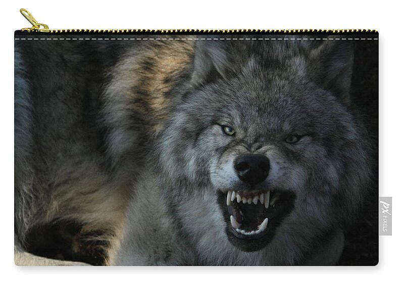 Wolf Zip Pouch featuring the photograph Malicious Intent by Heather King