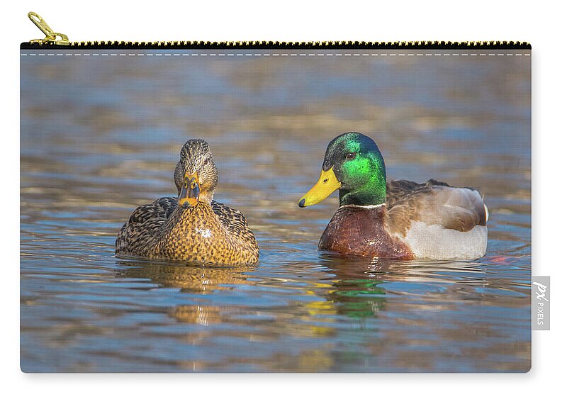 20170128 Zip Pouch featuring the photograph Mallard Mates by Jeff at JSJ Photography