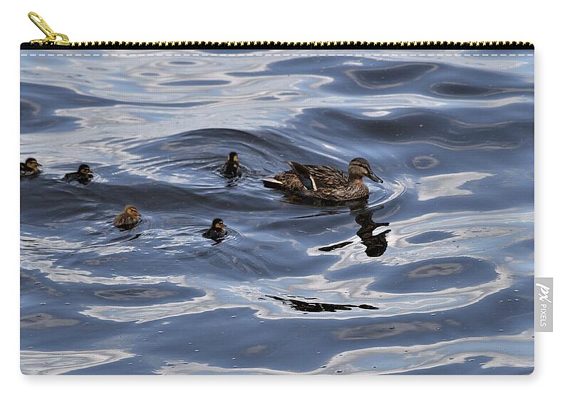 Mallard Mother And Ducklings Zip Pouch featuring the photograph Mallard Mother and Ducklings by Warren Thompson