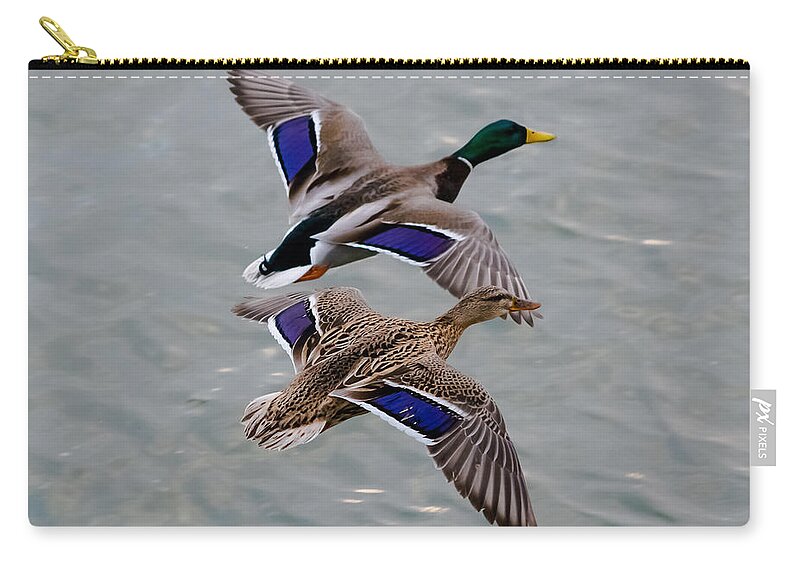 Mallards Carry-all Pouch featuring the photograph Mallards in Flight by Holden The Moment