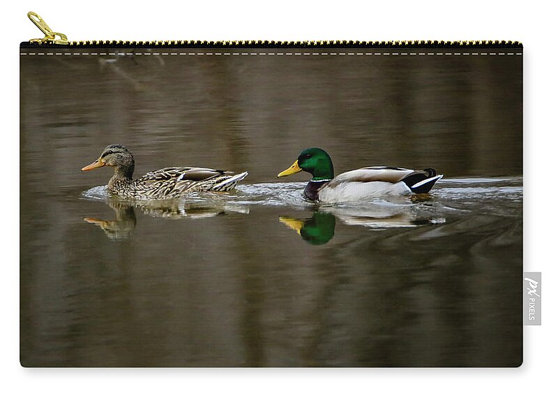 Mallard Duck Zip Pouch featuring the photograph Mallards Reflecting by Ray Congrove