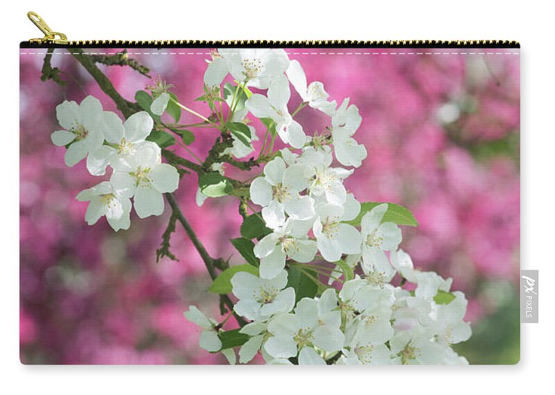 Malus Lady Northcliffe Zip Pouch featuring the photograph Malus Lady Northcliffe Blossom by Tim Gainey