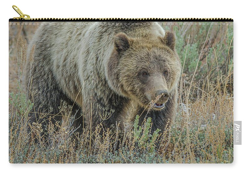 Blonde Bear Zip Pouch featuring the photograph Mama Grizzly Blondie by Yeates Photography