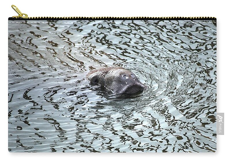 Manatee Zip Pouch featuring the mixed media Manatee 2 by Angela Murray
