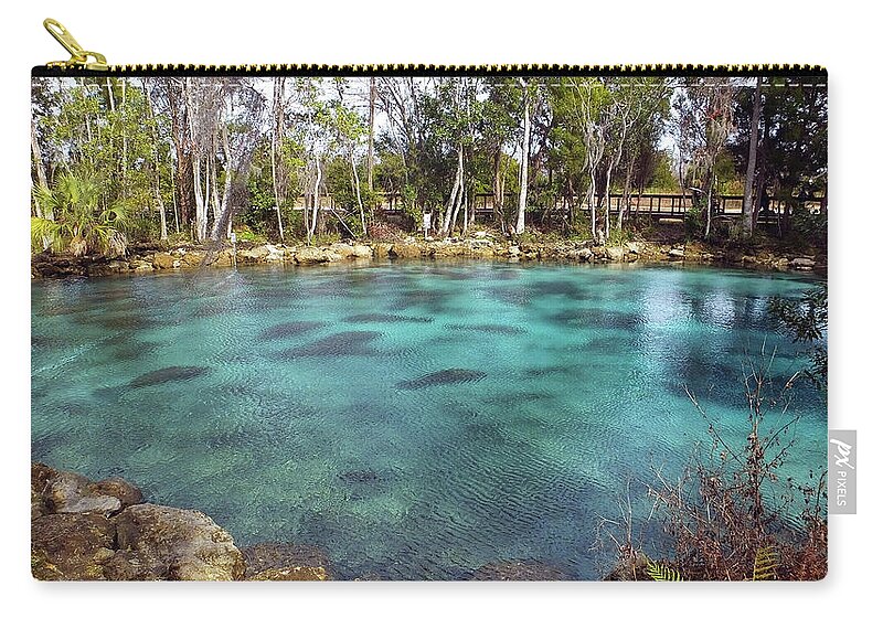 Three Sisters Springs Zip Pouch featuring the photograph Manatees Sleeping in Morning Glory Spring by Judy Wanamaker