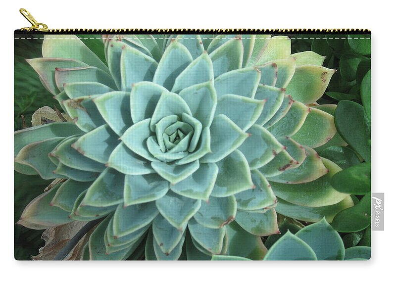  Zip Pouch featuring the photograph Mandala by Ron Monsour
