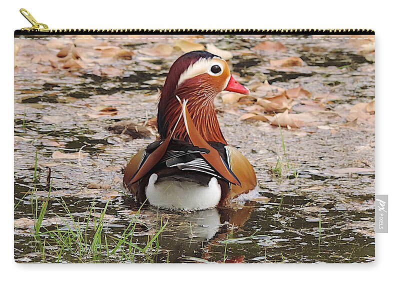 Mandarin Duck Carry-all Pouch featuring the photograph Mandarin Duck by Richard Gehlbach